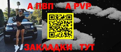 молекула духа Кингисепп