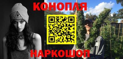 молекула духа Кингисепп
