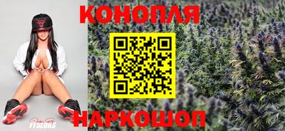 молекула духа Кингисепп