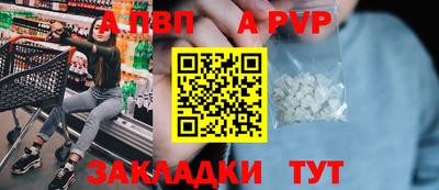 молекула духа Кингисепп