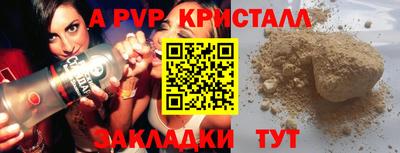 молекула духа Кингисепп