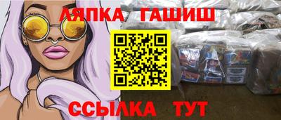 молекула духа Кингисепп