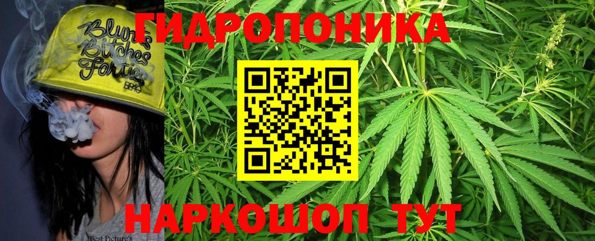 Канабис гибрид Элиста